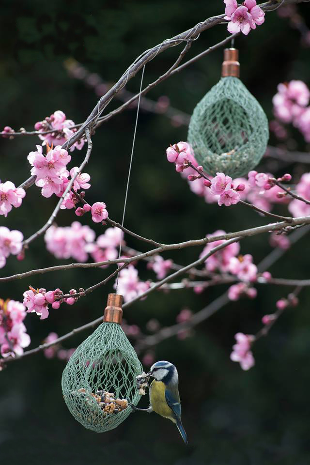 Nourrir Les Oiseaux Du Jardin Frais Sculpture Graines De Pluie Une Esthétique Pour Nourrir Les Oiseaux