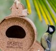 Nourrir Les Oiseaux Du Jardin Génial La Table Des Oiseaux Mangeoire Graines De Découvertes