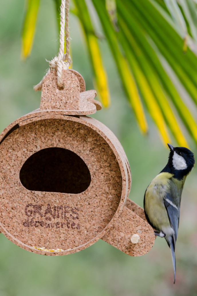Nourrir Les Oiseaux Du Jardin Génial La Table Des Oiseaux Mangeoire Graines De Découvertes