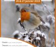 Nourrir Les Oiseaux Du Jardin Génial Les 26 Et 27 Janvier Pte Les Oiseaux Des Jardins