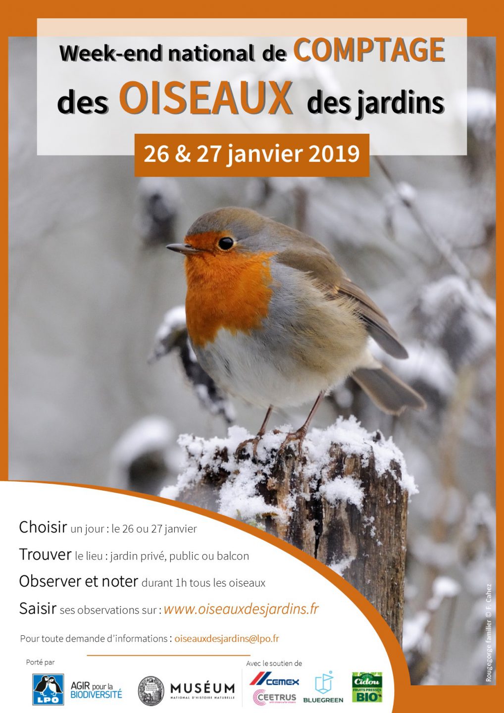 Nourrir Les Oiseaux Du Jardin Génial Les 26 Et 27 Janvier Pte Les Oiseaux Des Jardins