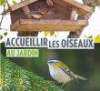 Nourrir Les Oiseaux Du Jardin Inspirant Extrait Accueillir Les Oiseaux Au Jardin éditions Ulmer by