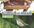 Nourrir Les Oiseaux Du Jardin Inspirant Extrait Accueillir Les Oiseaux Au Jardin éditions Ulmer by