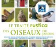 Nourrir Les Oiseaux Du Jardin Inspirant Oiseaux