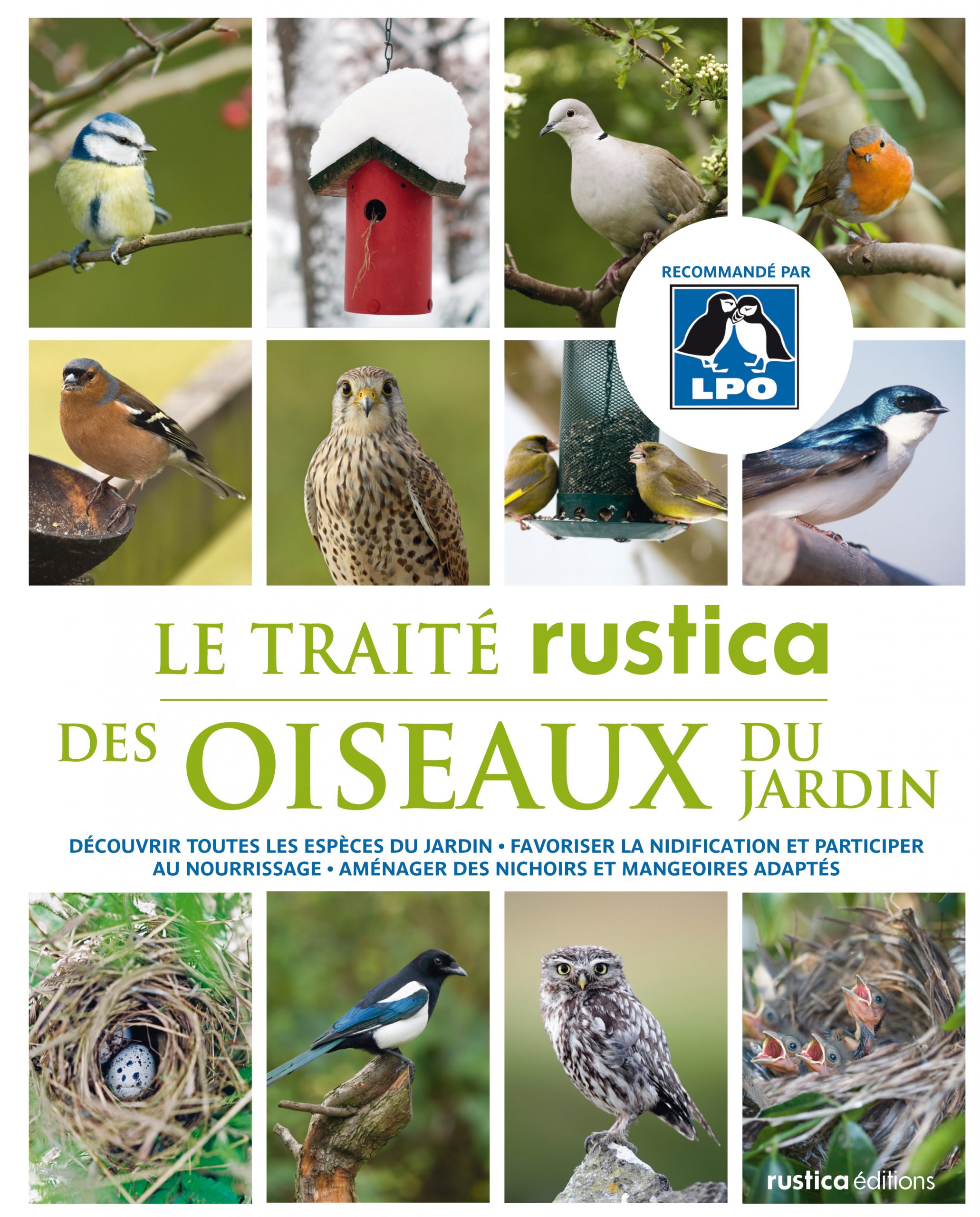 Nourrir Les Oiseaux Du Jardin Inspirant Oiseaux