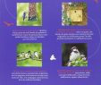 Nourrir Les Oiseaux Du Jardin Luxe attirer Et Nourrir Les Oiseaux Au Jardin French Edition