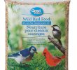 Nourrir Les Oiseaux Du Jardin Luxe Nourriture Pour Oiseaux Sauvages Great Value