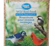 Nourrir Les Oiseaux Du Jardin Luxe Nourriture Pour Oiseaux Sauvages Great Value