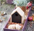 Nourrir Les Oiseaux Du Jardin Luxe Une Bonne Action Pour Les Petits Oiseaux En Automne