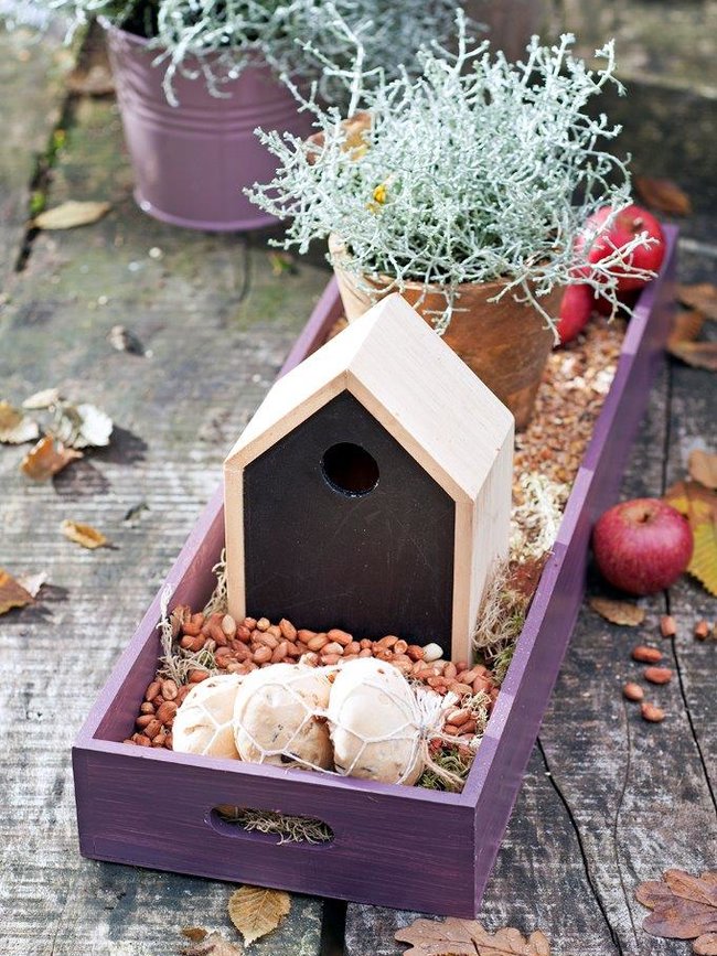 Nourrir Les Oiseaux Du Jardin Luxe Une Bonne Action Pour Les Petits Oiseaux En Automne