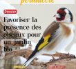 Nourrir Les Oiseaux Du Jardin Nouveau Les Dossiers Le Potager Permacole