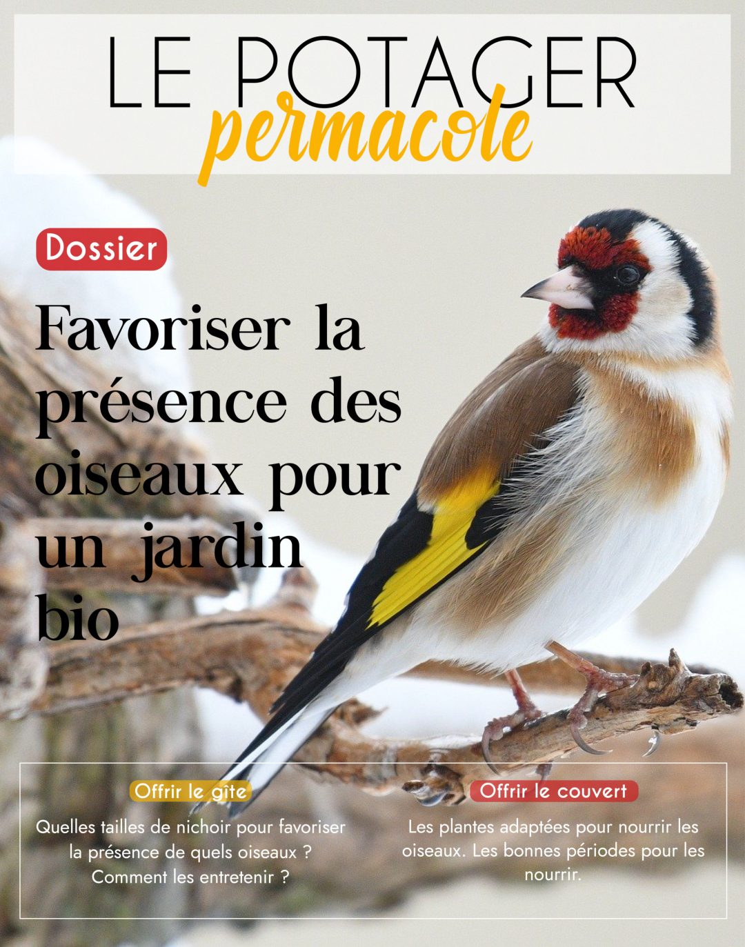 Nourrir Les Oiseaux Du Jardin Nouveau Les Dossiers Le Potager Permacole