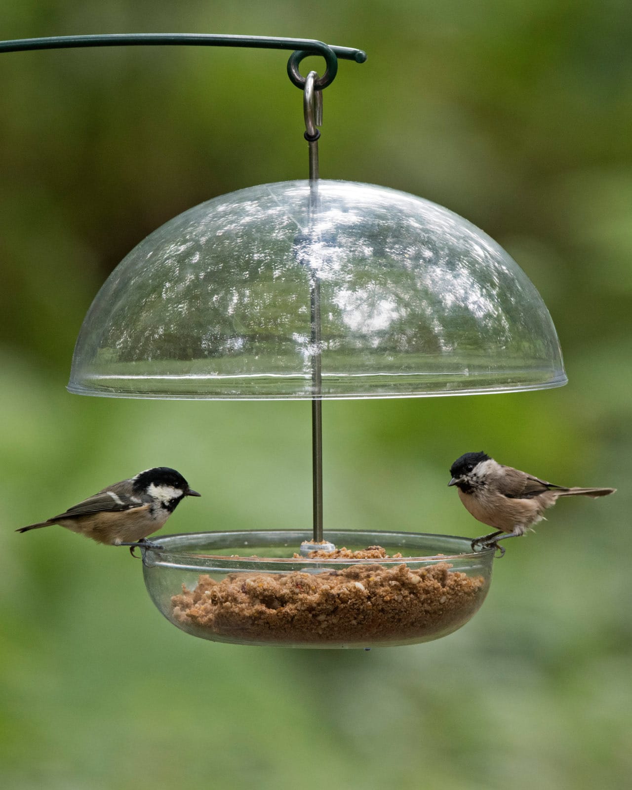 Nourrir Les Oiseaux Du Jardin Unique Mangeoire   Suspendre Pearl I Love Robins