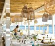 Restaurant Coté Jardin Best Of Saint Tropez Adresses Déco Plages Et Restaurants