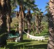 Trh Jardin Del Mar Élégant Finca Hotel son Pont Reviews S & Rates Ebookers