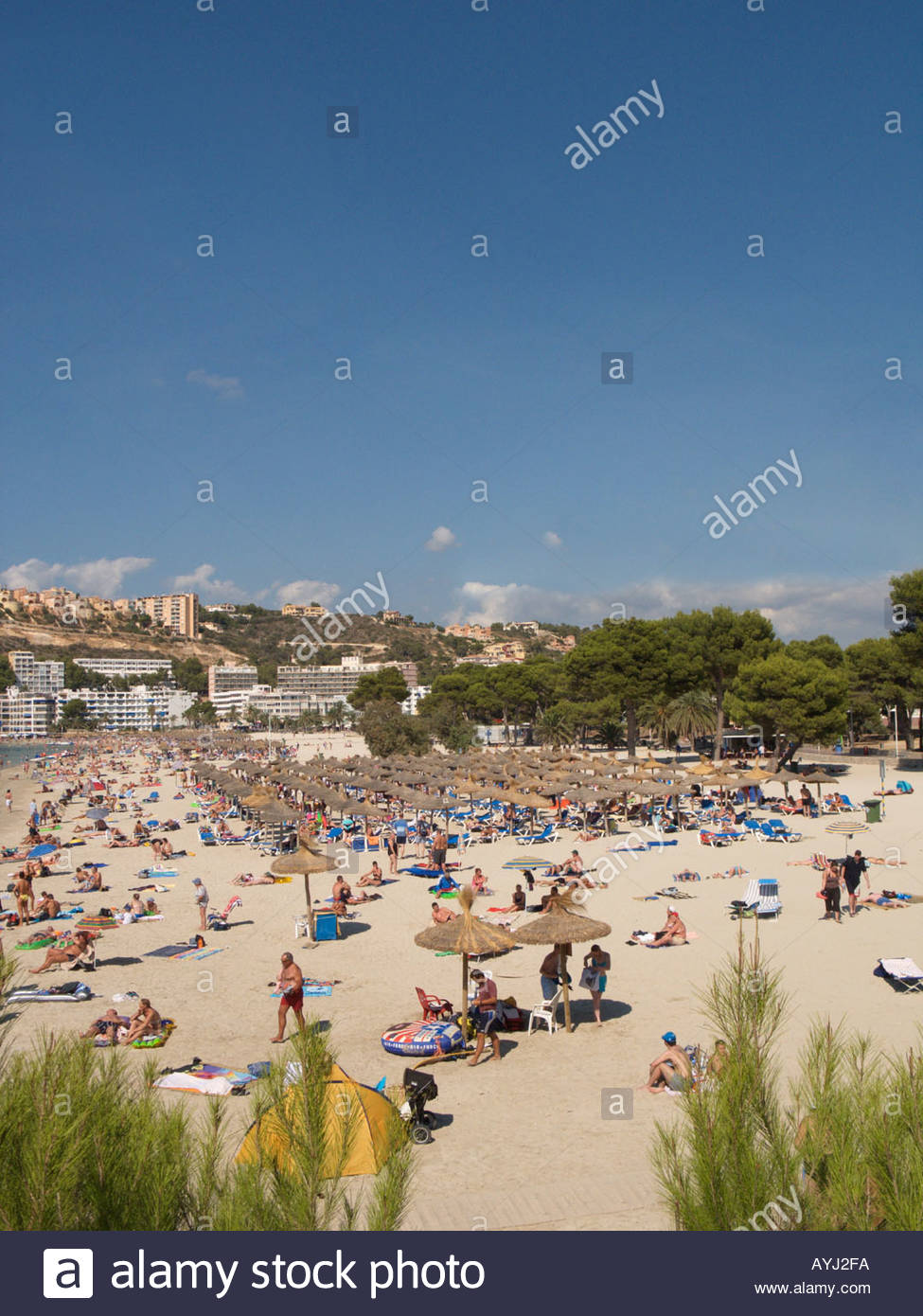 Trh Jardin Del Mar Élégant Santa Ponsa Bay and Beach Scene Ponent Region Majorca Spain