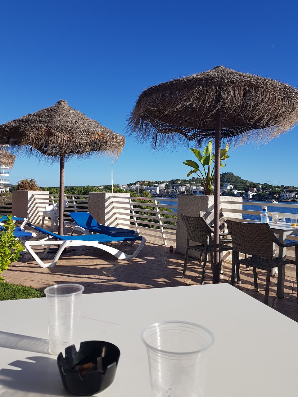 Hotel Review g d Reviews or10 TRH Jardin del Mar Santa Ponsa Calvia Majorca Balearic Islands