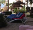 Trh Jardin Del Mar Luxe Trh Jardin Del Mar Calvi  Spania