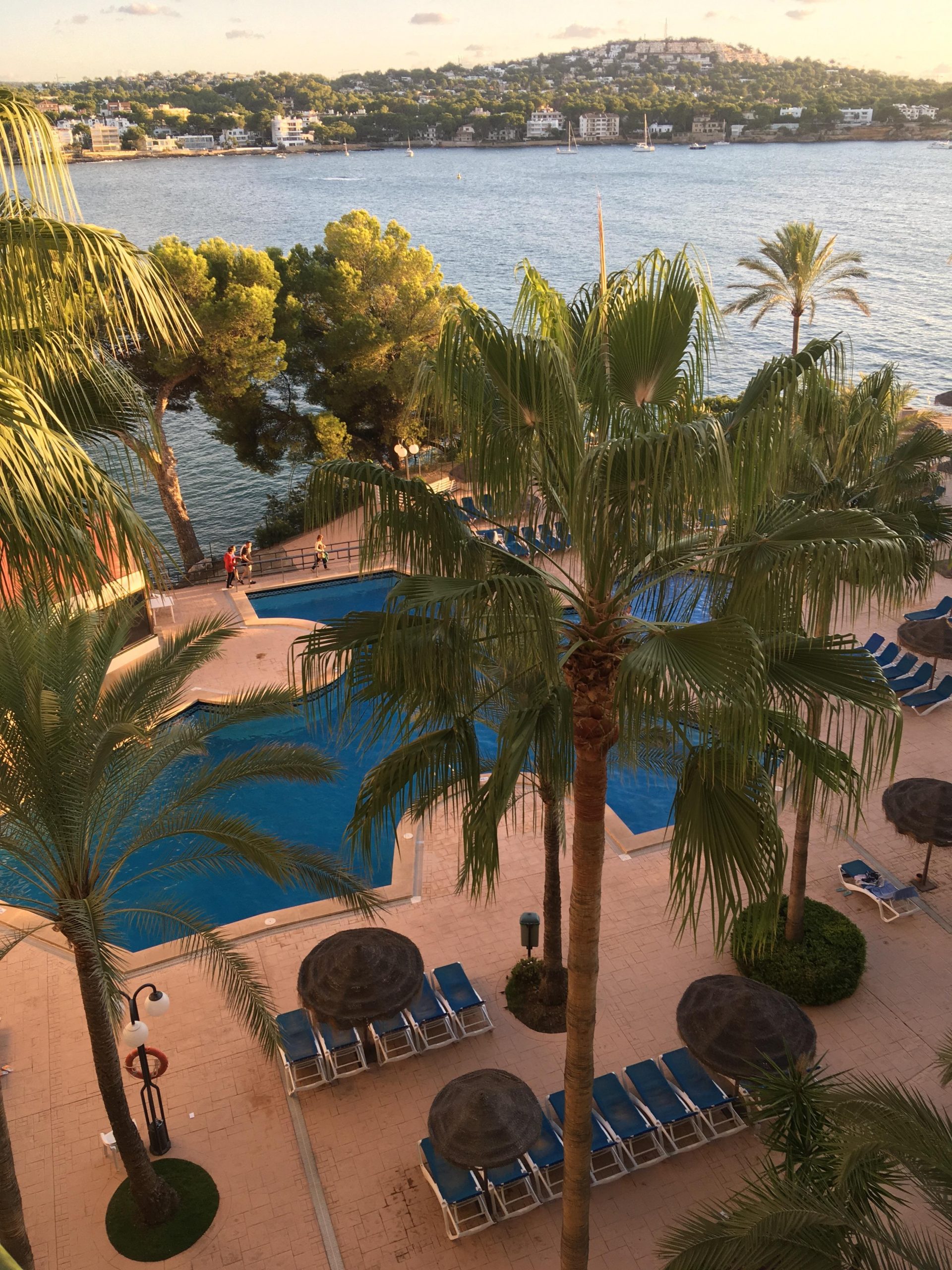 Calvia Hotels TRH Jardin Del Mar h Hotel Information